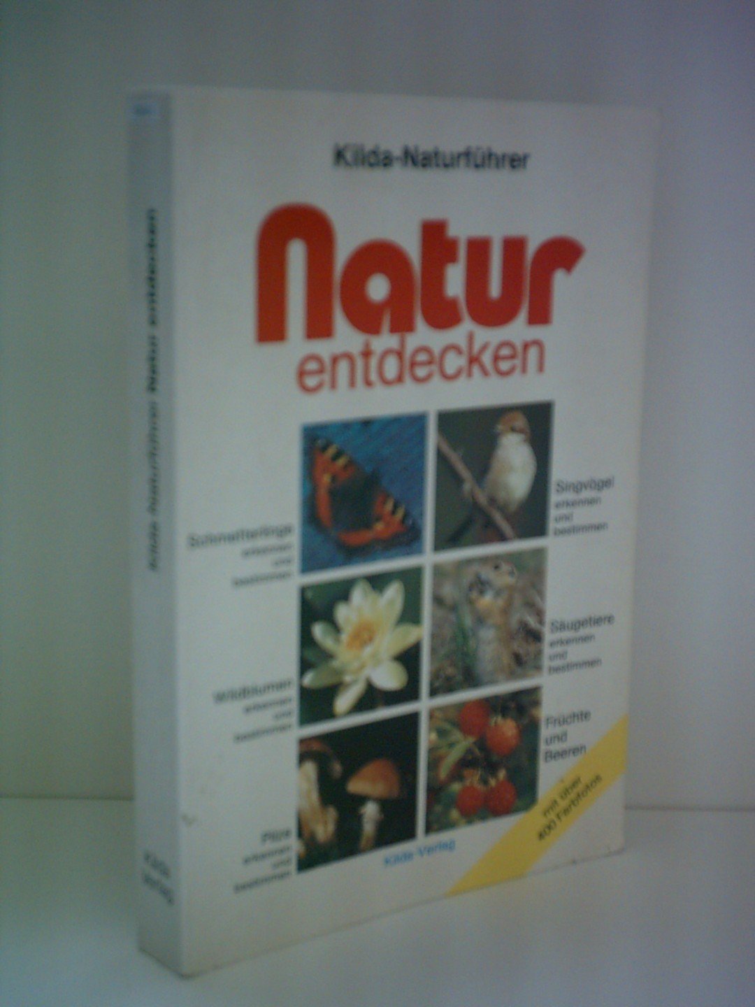 Natur entdecken: Schmetterlinge, Singvögel, Wildblumen, Säugetiere, Pilze, Früchte und Beeren (Kilda-Naturführer) Natural Sciences