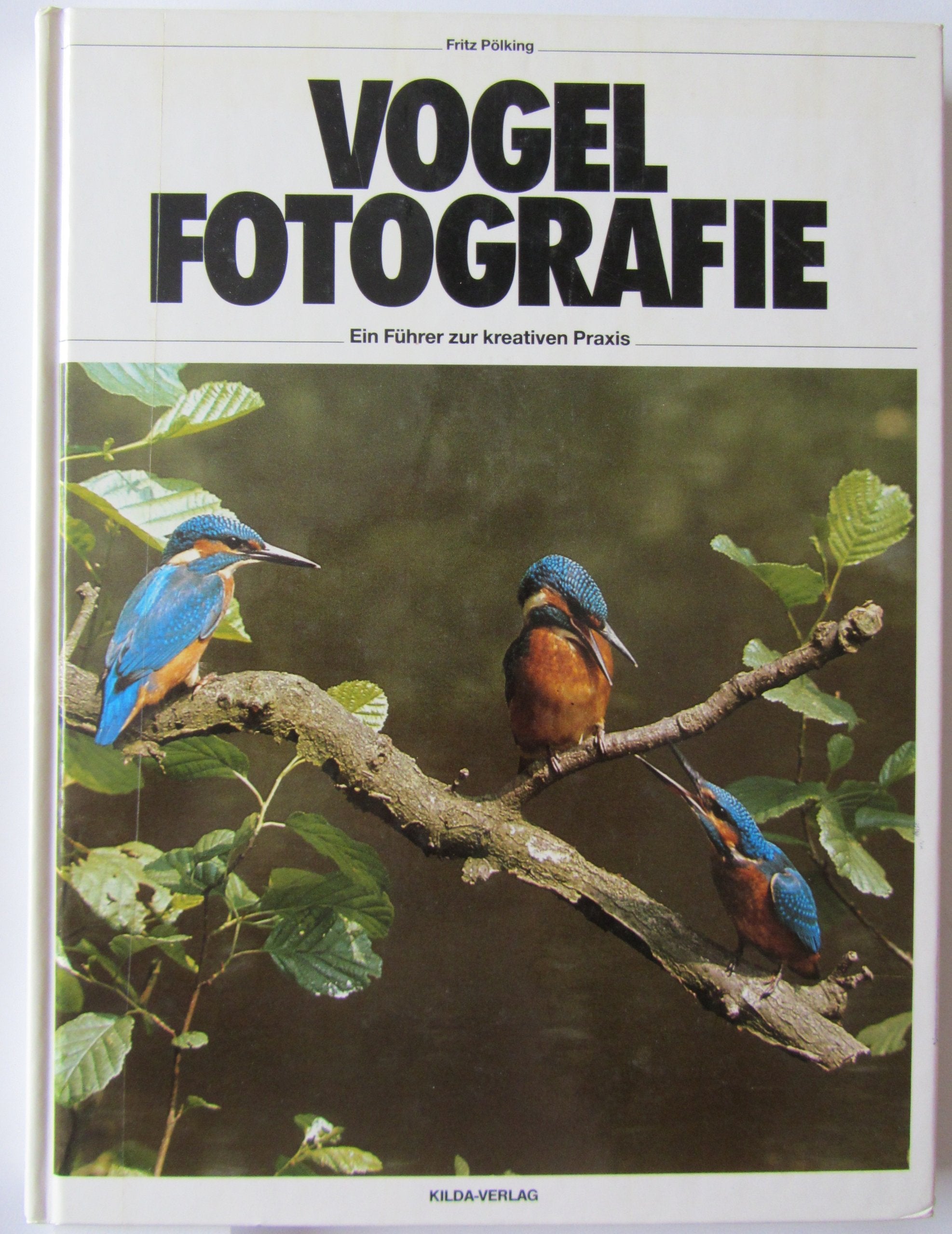 Vogelfotografie. Ein Führer zur kreativen Praxis Photography