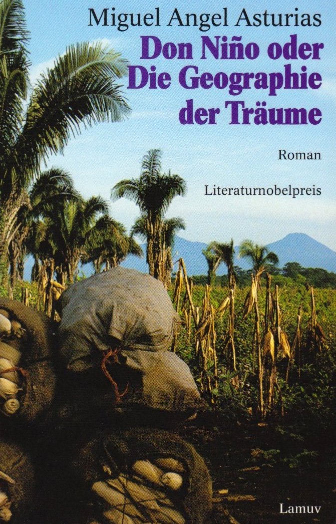 Don Niño oder Die Geographie der Träume: Roman (Lamuv Taschenbücher) Historical Fiction