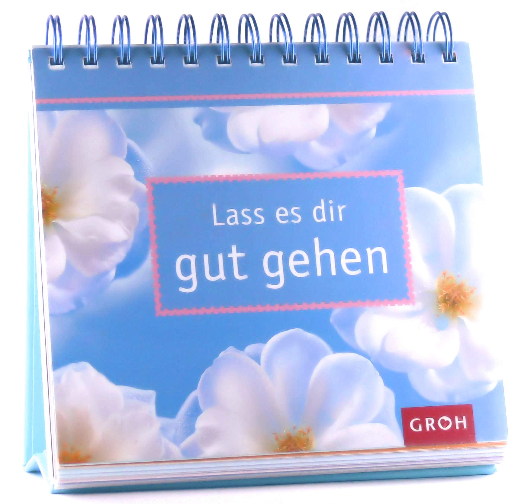 Lass es dir gut gehen: Spiralbuch (Carpe Diem) Living & Furnishing
