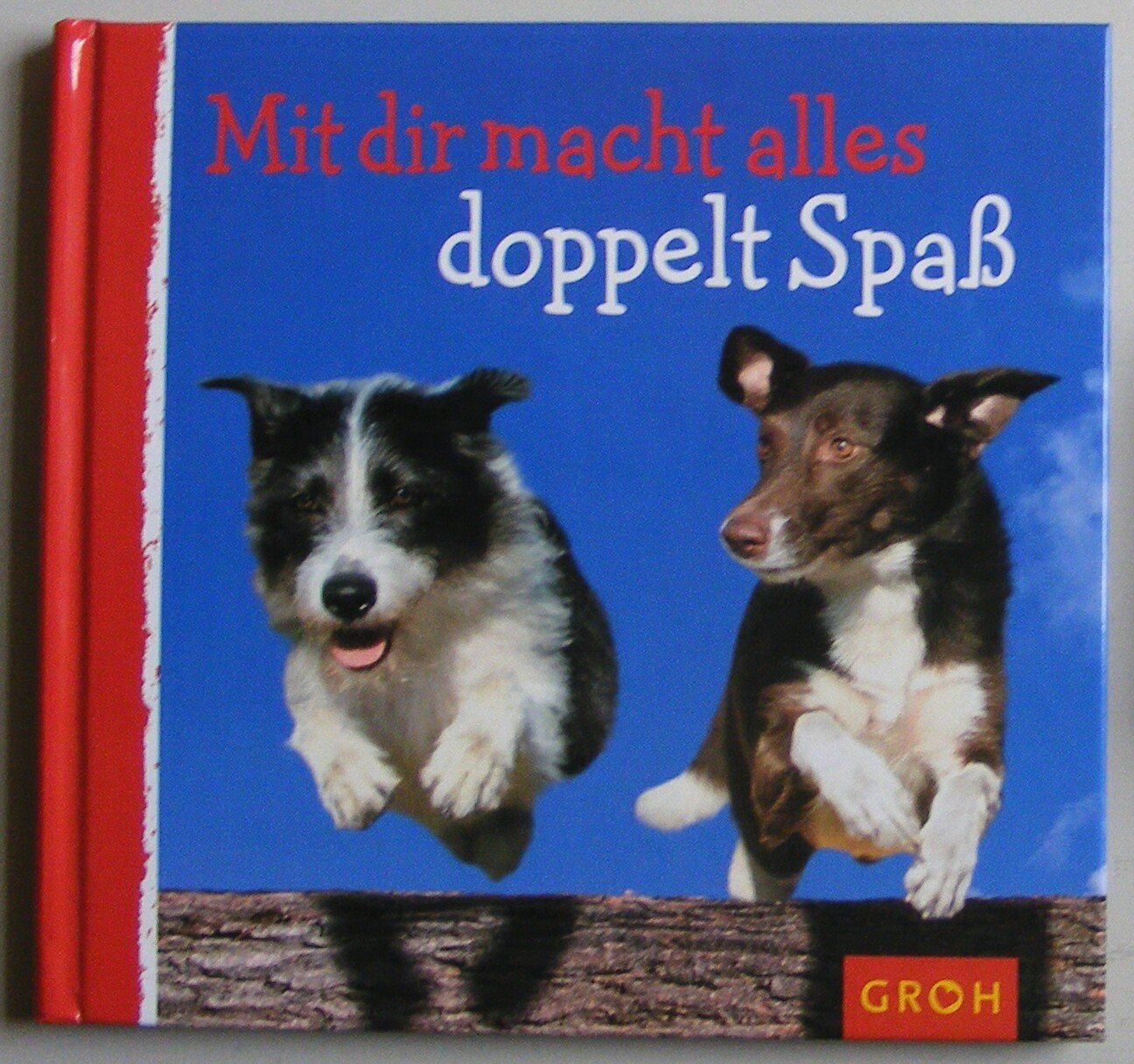 Mit dir macht alles doppelt Spass (Tierisch gut) Living & Furnishing