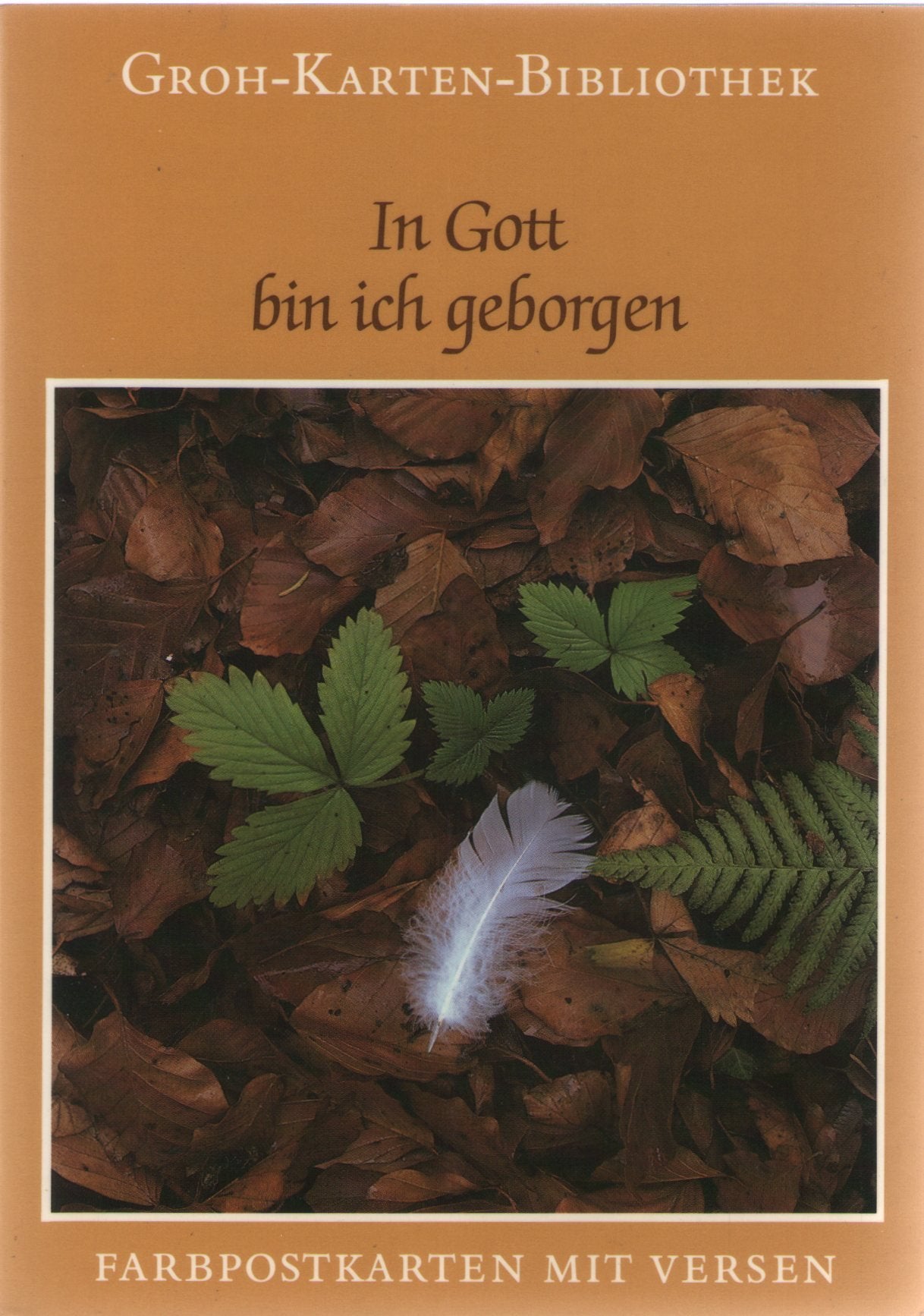 In Gott bin ich geborgen: Farbpostkarten mit Texten (Groh-Karten-Bibliothek) Books