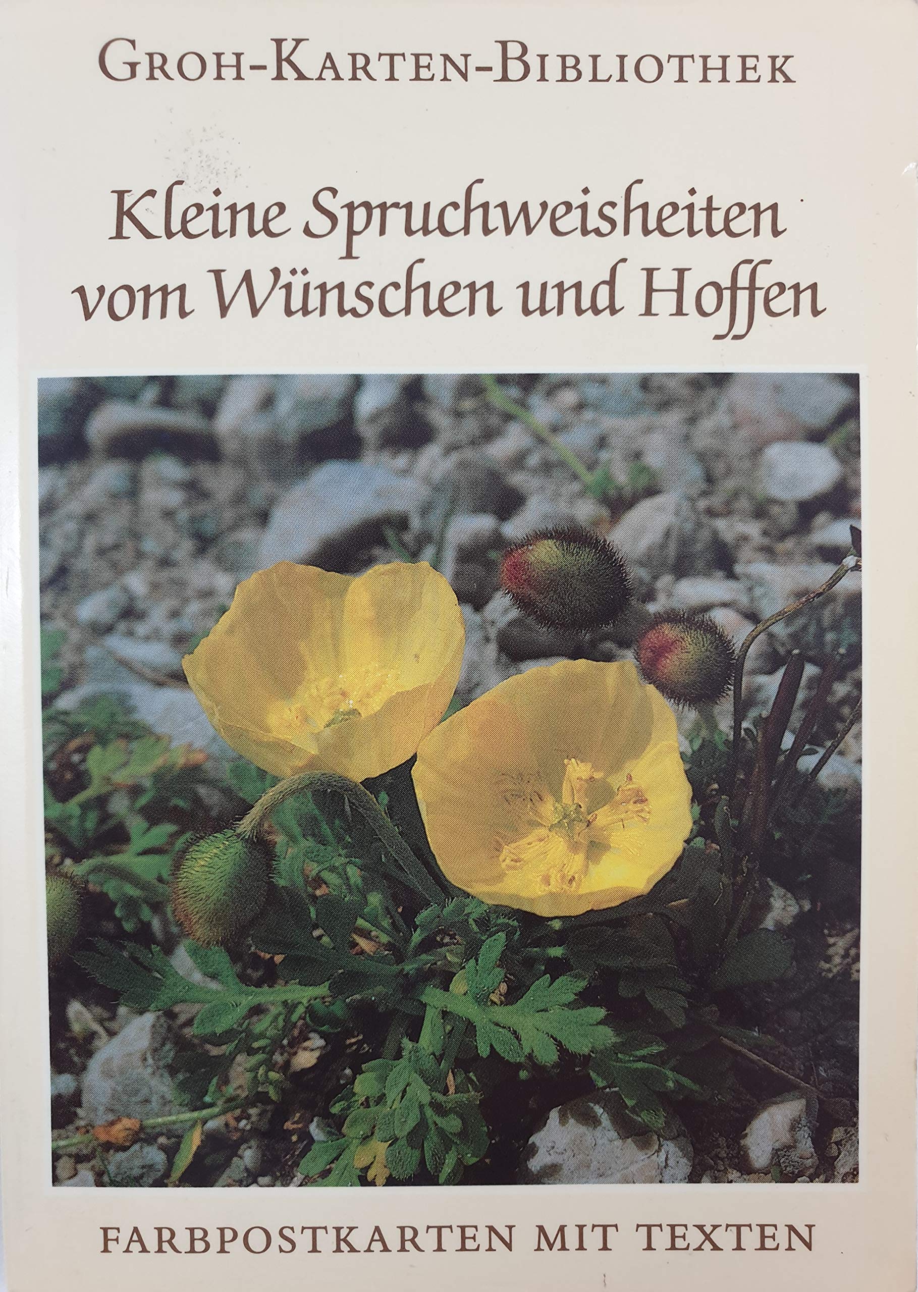 Kleine Spruchweisheiten vom Wünschen und Hoffen (Groh-Karten-Bibliothek) Books