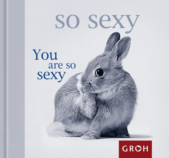 You are so sexy (Happy Days Minis) Living & Furnishing