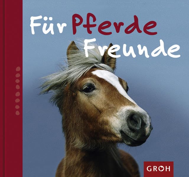Für Pferdefreunde (Zeit für Freunde) Living & Furnishing