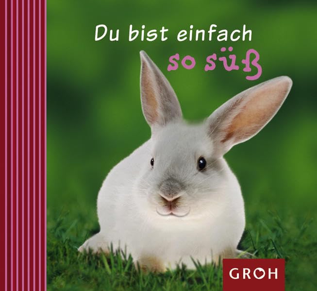 Du bist einfach so süss Living & Furnishing Books