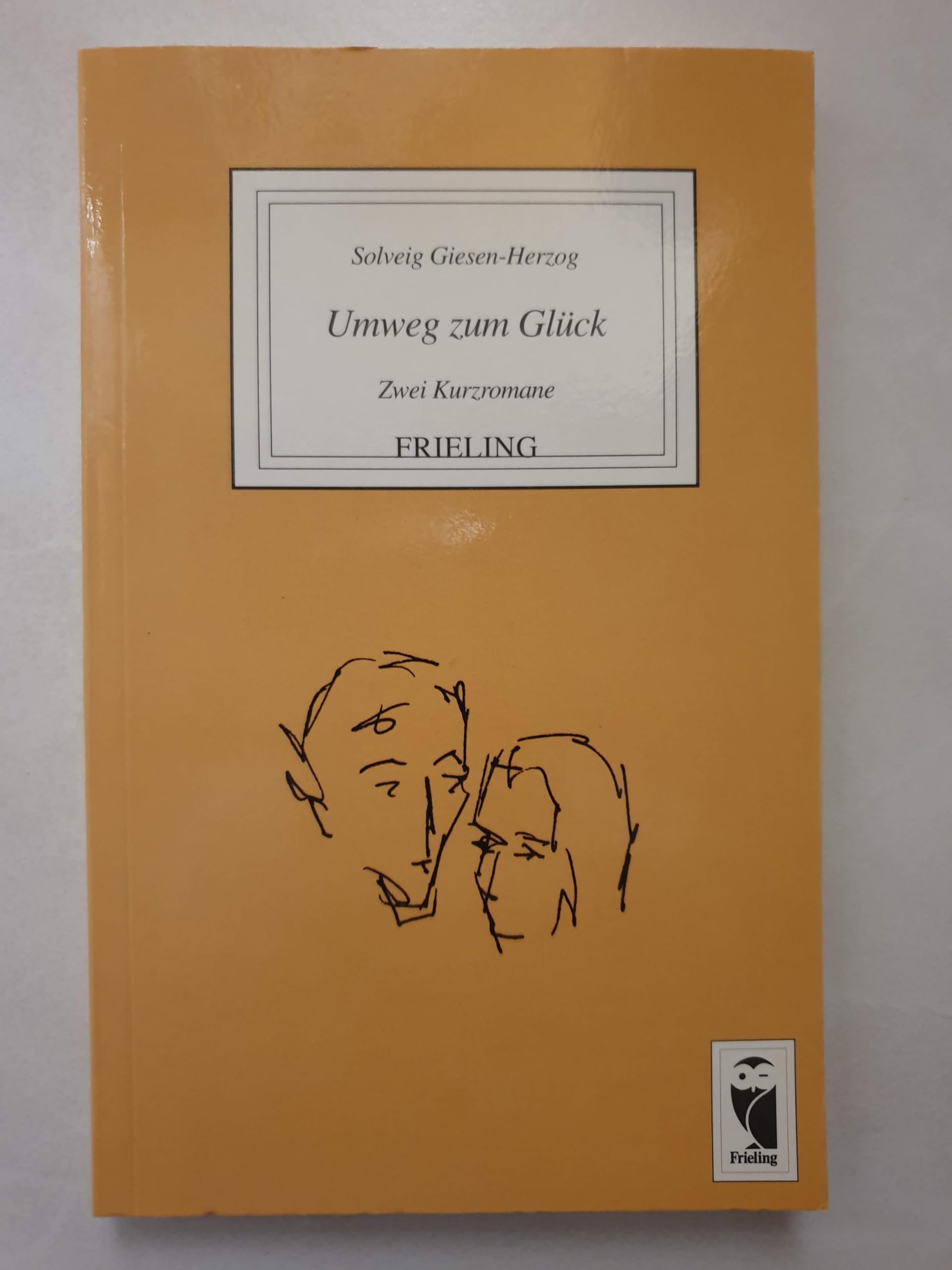 Umweg zum Glück. Zwei Kurzromane book