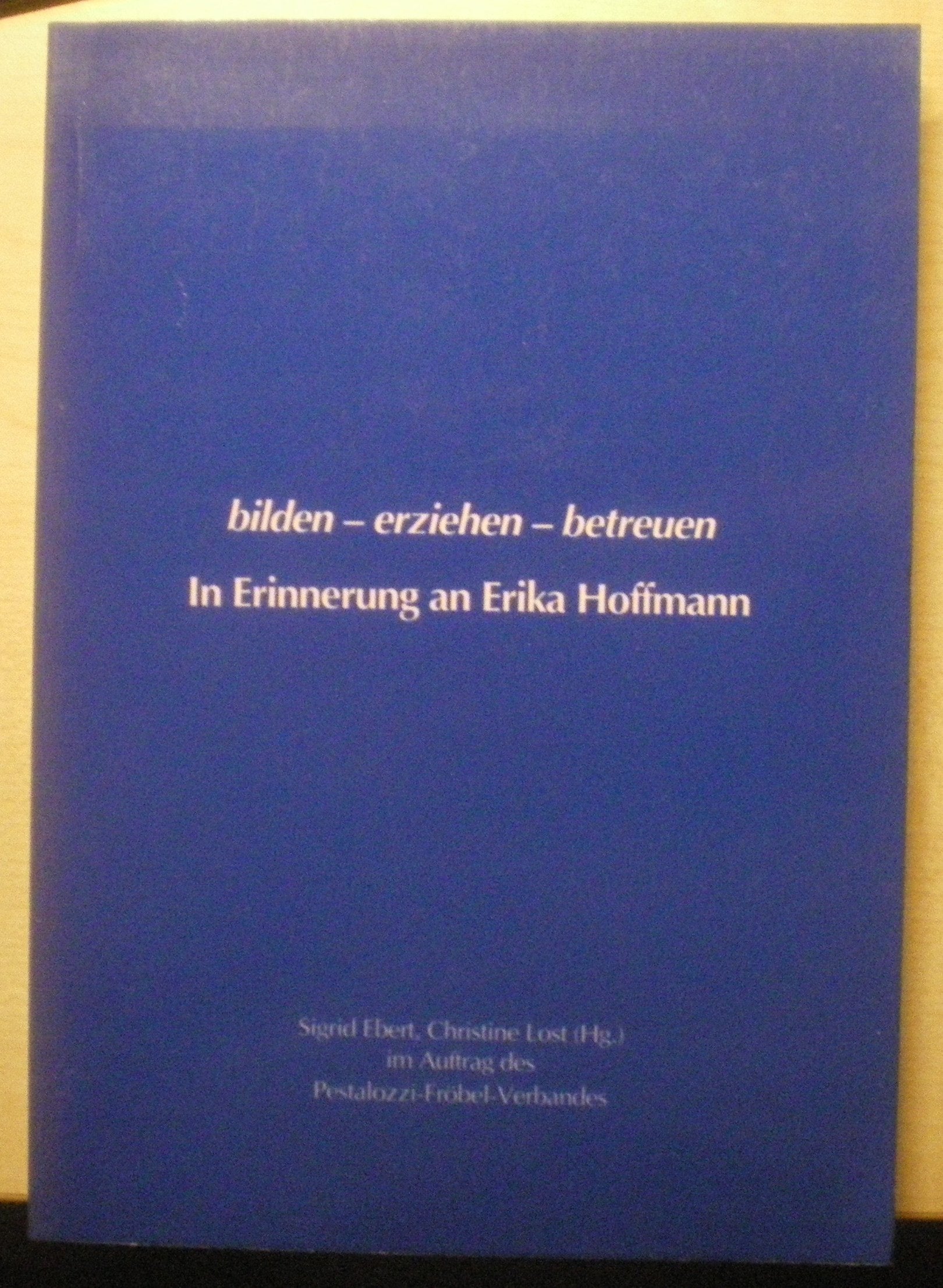 bilden - erziehen - betreuen: In Erinnerung an Erika Hoffmann Professional & Reference Books