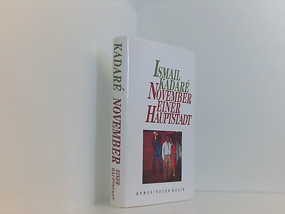 November einer Hauptstadt. Roman Books