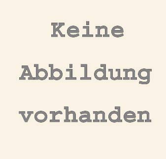 Ballo Tondo. Der Reigen. Roman Contemporary literature