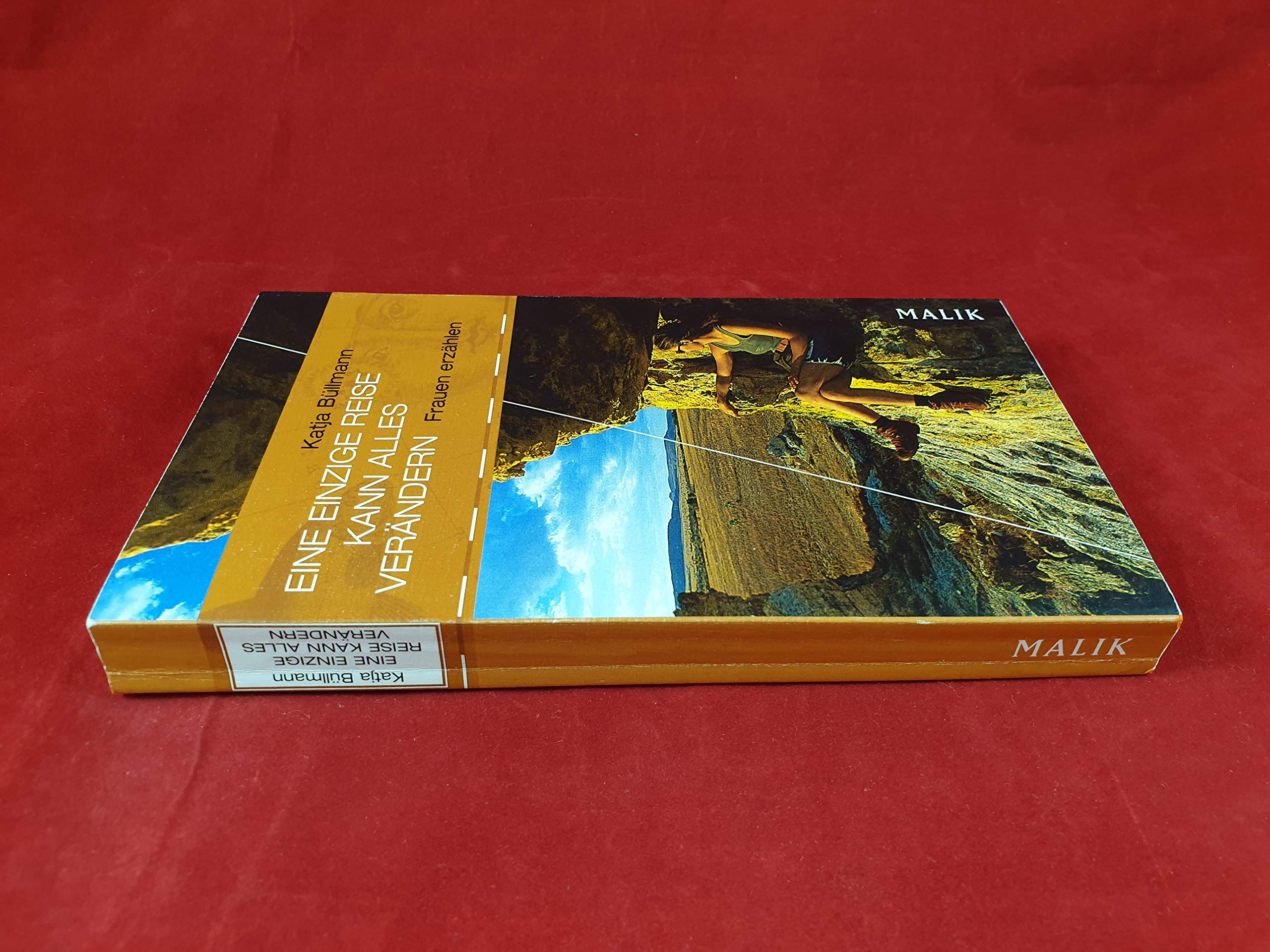 Eine einzige Reise kann alles verändern: Frauen erzählen Contemporary literature