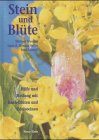 Stein und Blüte: Hilfe und Heilung mit Bachblüten und Edelsteinen Religion & Esotericism
