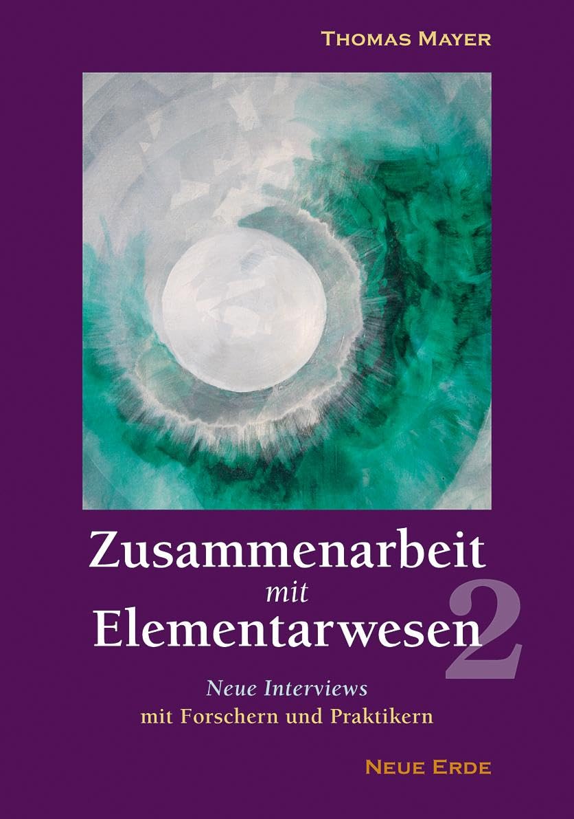 Zusammenarbeit mit Elementarwesen 2 Business & Technology Books