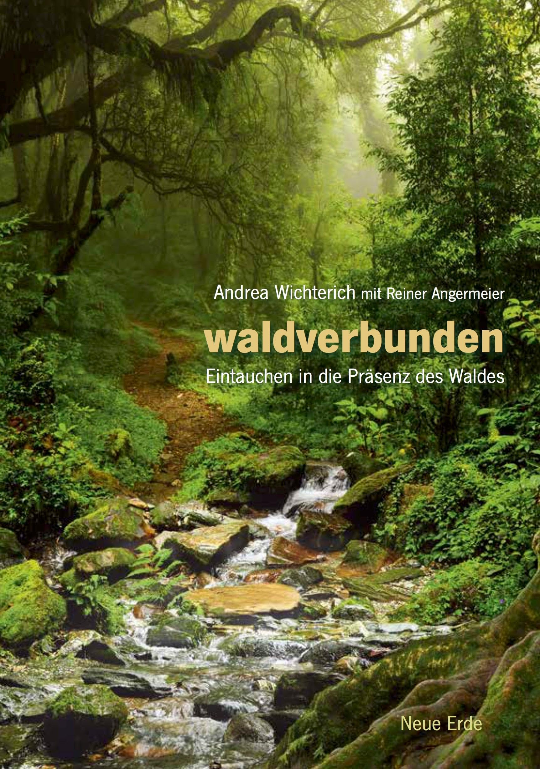 Waldverbunden: Eintauchen in die Präsenz des Waldes Health, Nutrition & Fitness