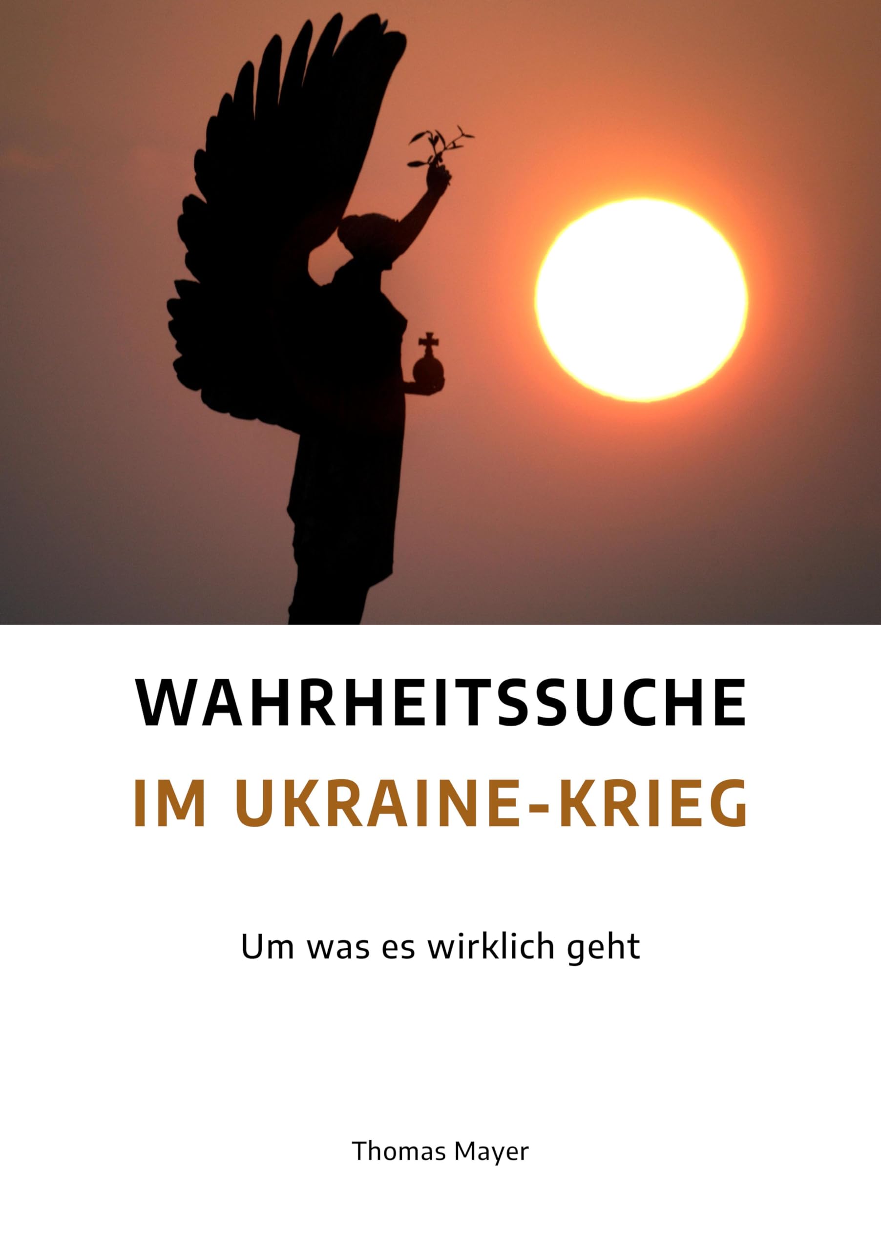 Wahrheitssuche im Ukraine-Krieg: Um was es wirklich geht Books