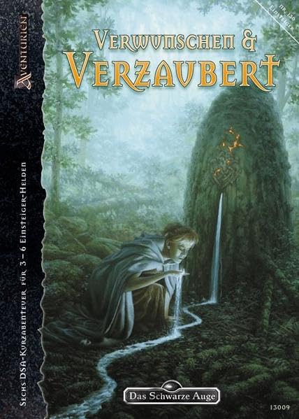 Verwunschen und Verzaubert: Sechs märchenhafte DSA-Kurzabenteuer für 3-5 Einsteiger-Helden (Das Schwarze Auge: Aventurien) Historical Fiction
