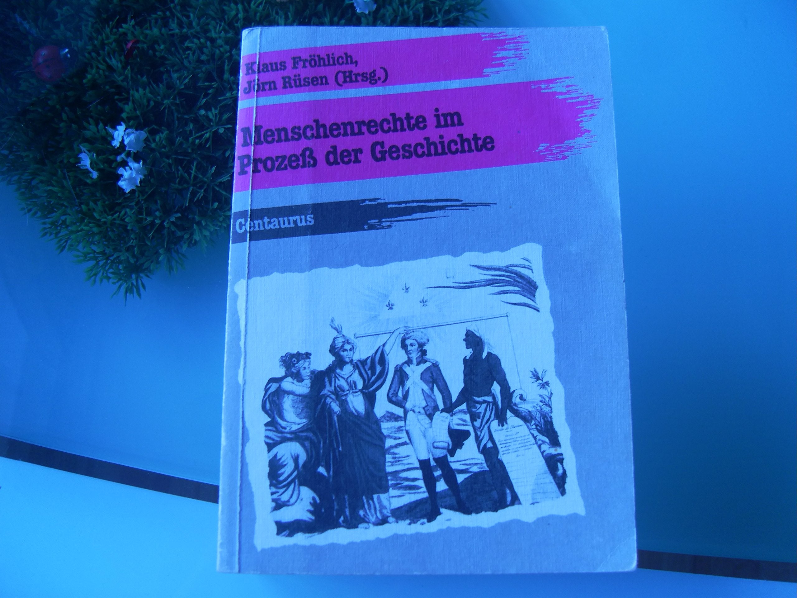 Menschenrechte im Prozess der Geschichte. Historische Interpretationen, didaktische Konzepte, Unterrichtsmaterialien - Klaus Fröhlich book