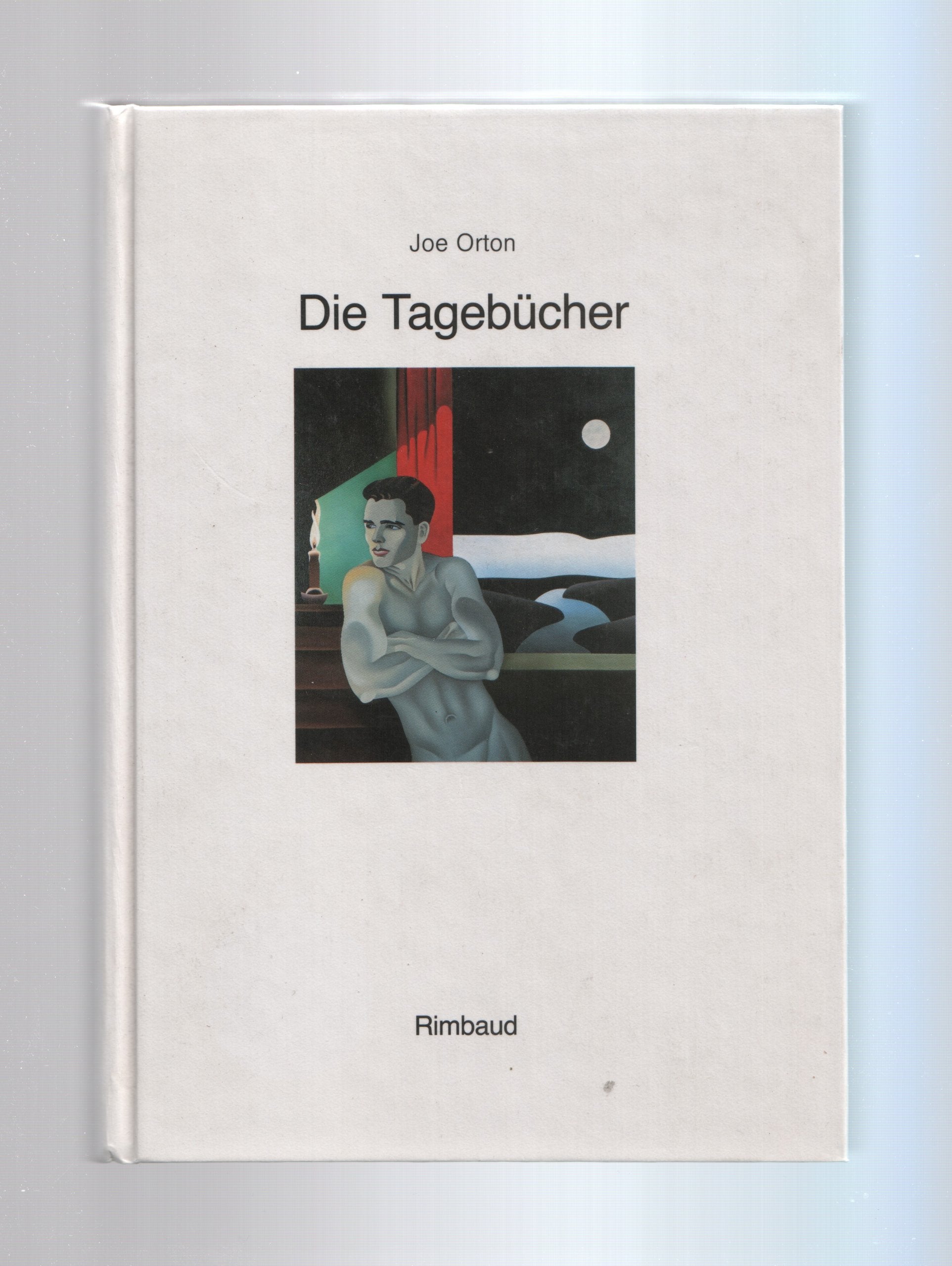 Die Tagebücher. Sowie der Briefwechsel von Edna Welthorpe etc. Essays & Short Stories