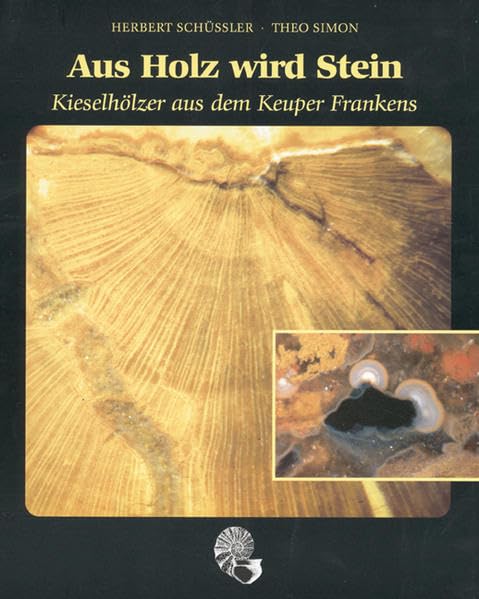 Aus Holz wird Stein: Kieselhölzer aus dem Keuper Frankens book