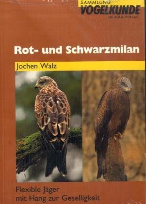 Rot- und Schwarzmilan: Flexible Jäger mit Hang zur Geselligkeit (Sammlung Vogelkunde im AULA-Verlag) Natural Sciences