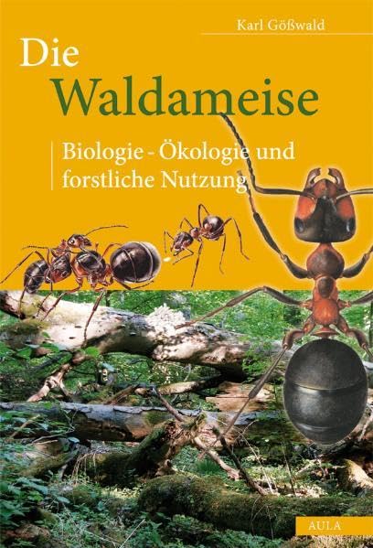 Die Waldameise Mathematics