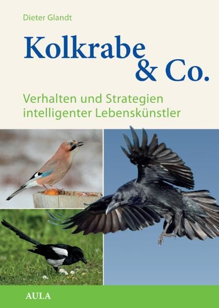 Kolkrabe & Co: Verhalten und Strategien intelligenter Lebenskünstler book