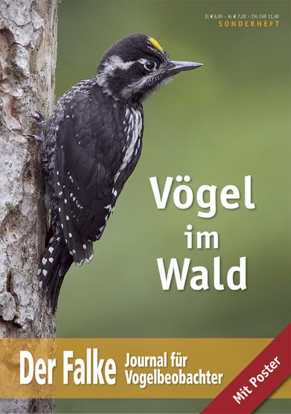 Vögel im Wald: Der Falke - Sonderheft 2012 Leisure, Home & Garden
