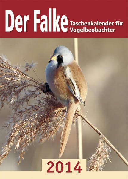 Der Falke-Taschenkalender für Vogelbeobachter 2014 Leisure, Home & Garden