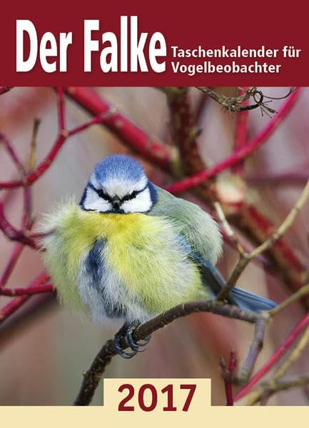 Der Falke-Taschenkalender für Vogelbeobachter 2017 Leisure, Home & Garden