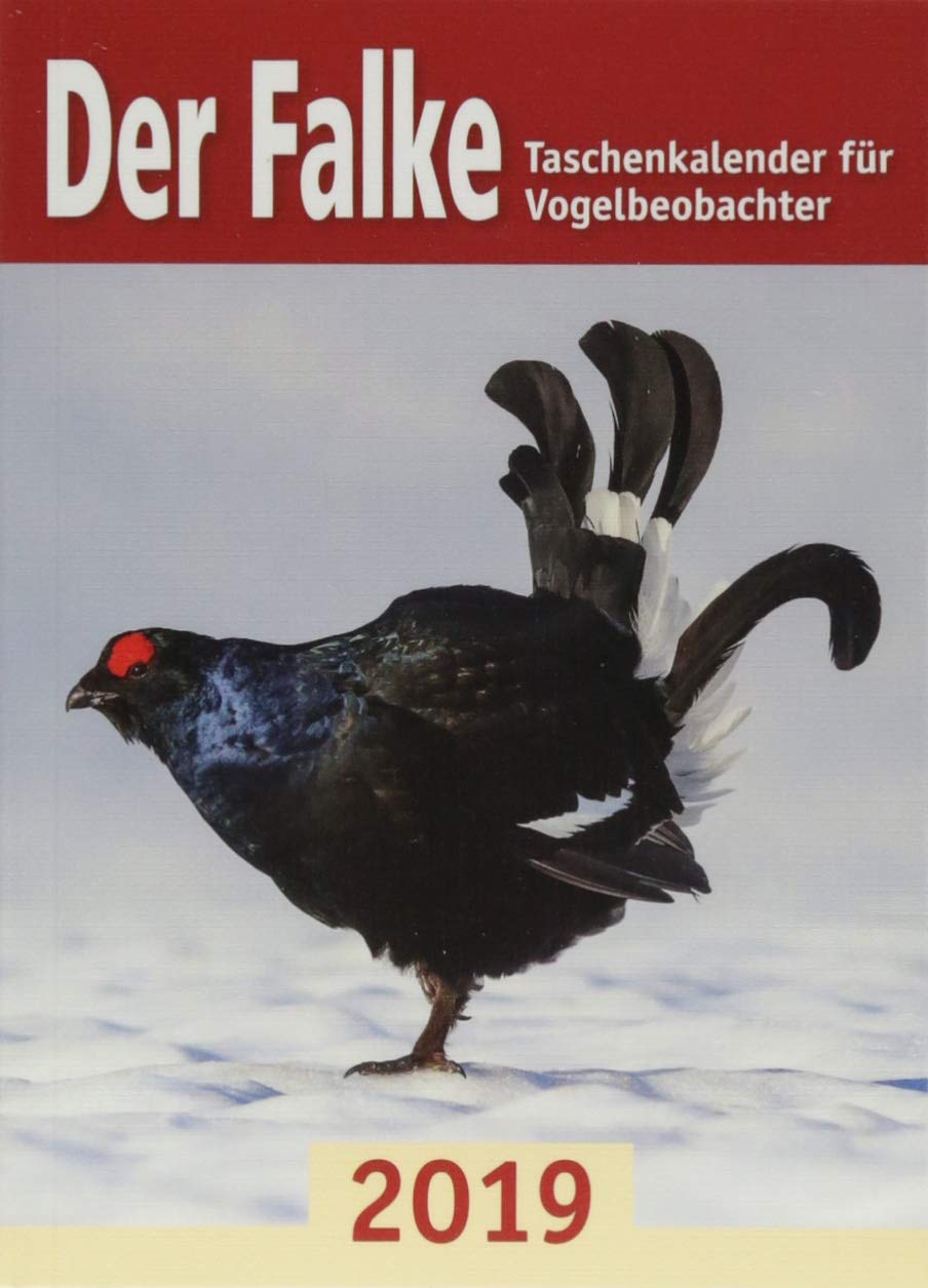 Der Falke-Taschenkalender für Vogelbeobachter 2019 Leisure, Home & Garden