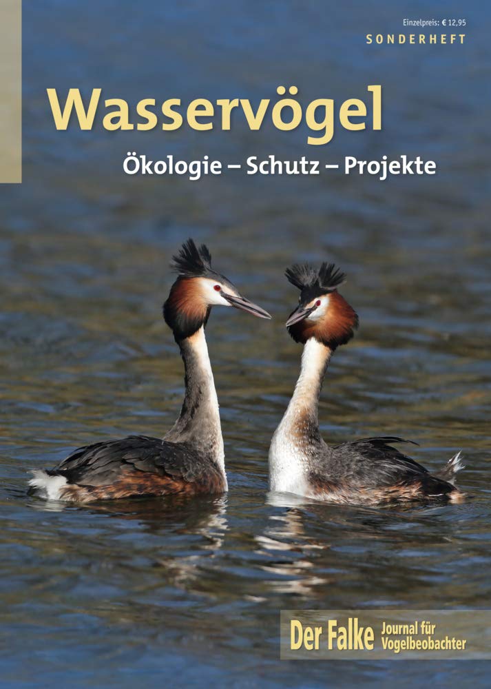 Wasservögel Photography