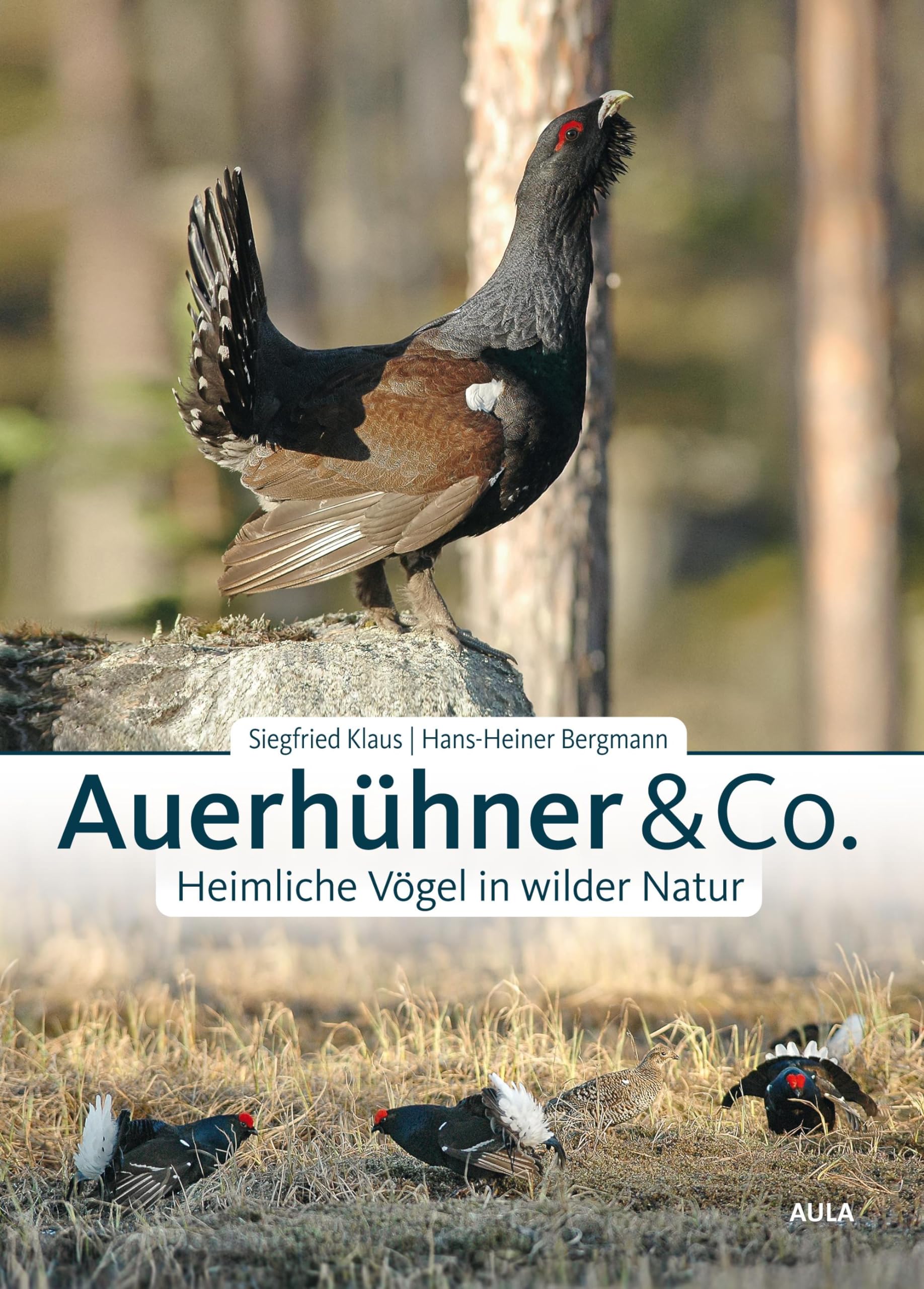 Auerhühner & Co. Leisure, Home & Garden Books