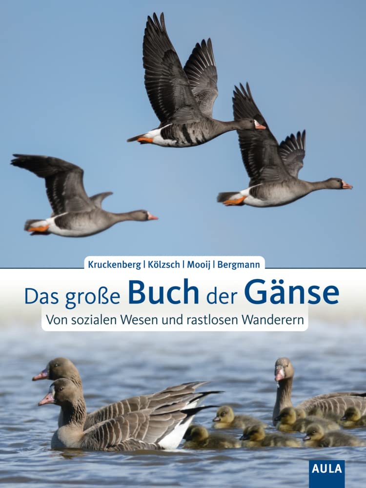 Product Image: Das große Buch der Gänse