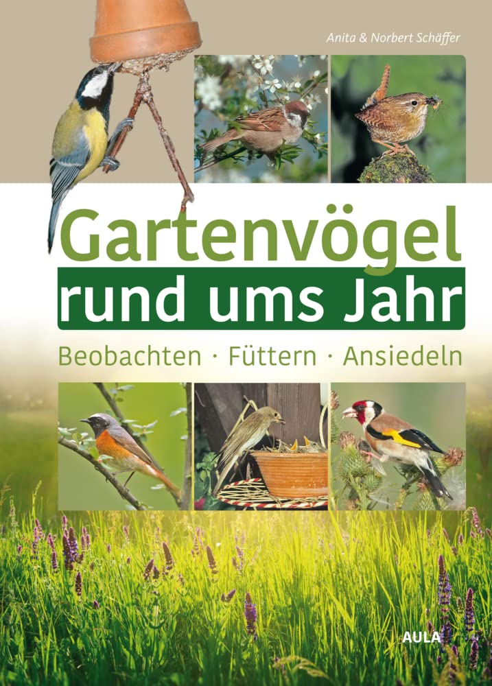 Gartenvögel rund ums Jahr Leisure, Home & Garden