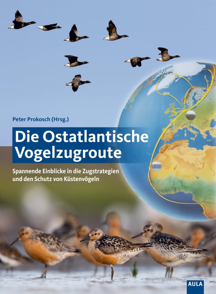 Die Ostatlantische Vogelzugroute: Spannende Einblicke in die Zugstrategien und den Schutz von Küstenvögeln Leisure, Home & Garden