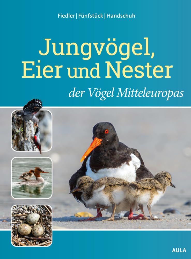 Jungvögel, Eier und Nester der Vögel Mitteleuropas Leisure, Home & Garden