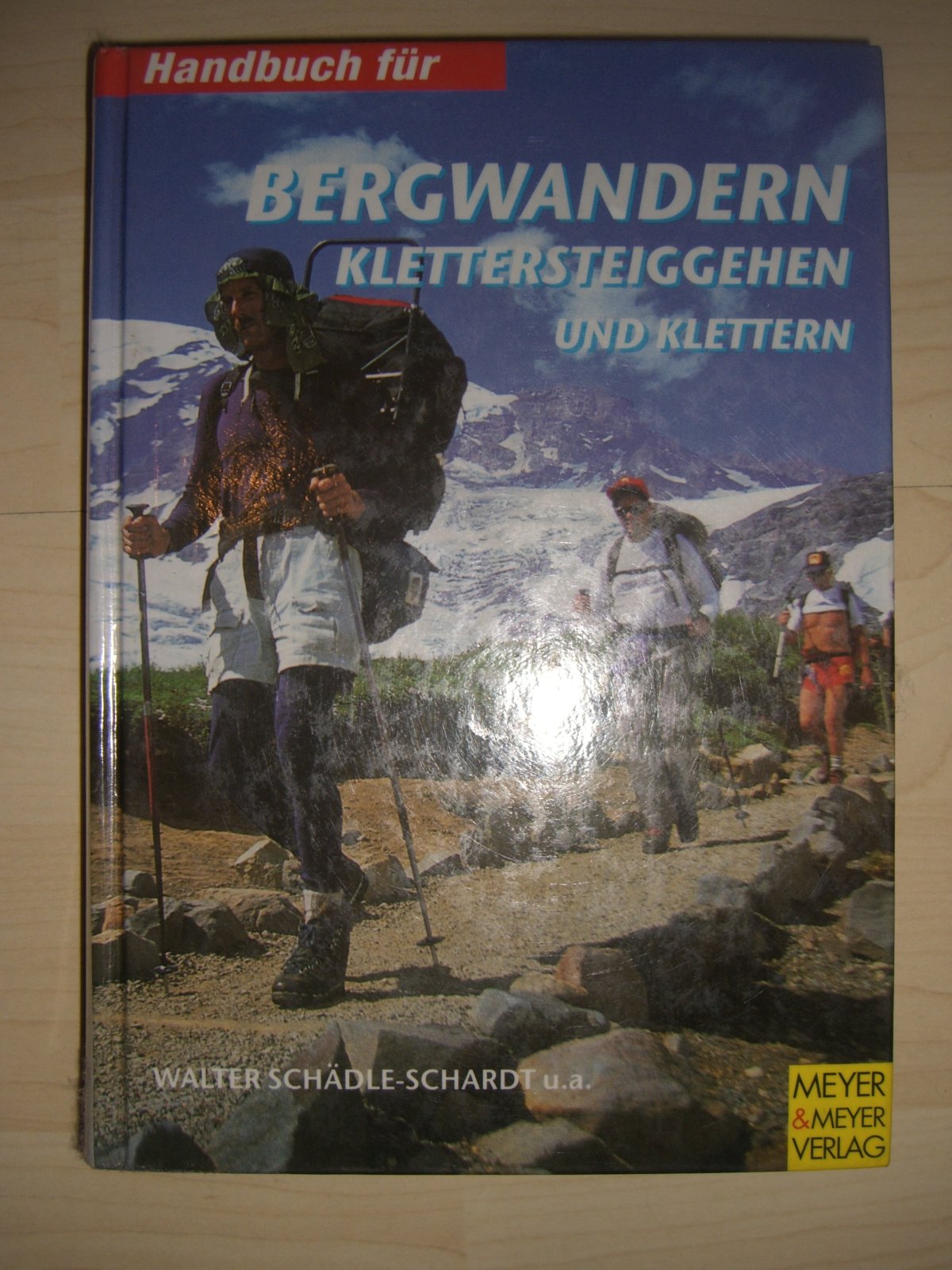 Handbuch für das Bergwandern, Klettersteiggehen und Klettern. Planung, Durchführung, Training Leisure & Fun