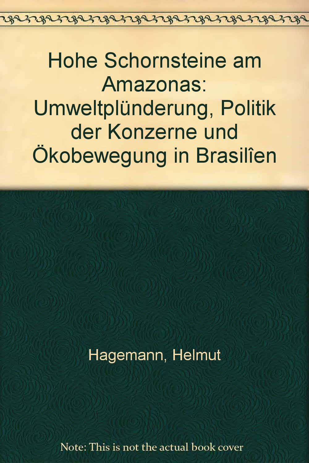 Hohe Schornsteine am Amazonas: Umweltplünderung, Politik der Konzerne und Ökobewegung in Brasilien Business & Technology