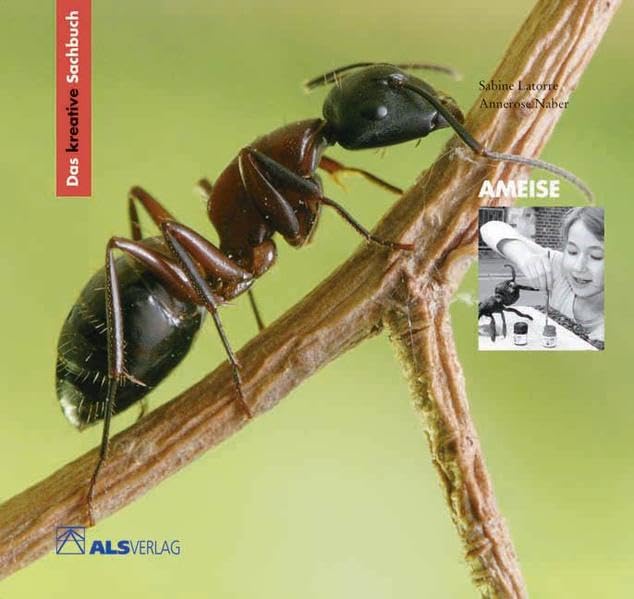 Das kreative Sachbuch Ameise Learning & Reference