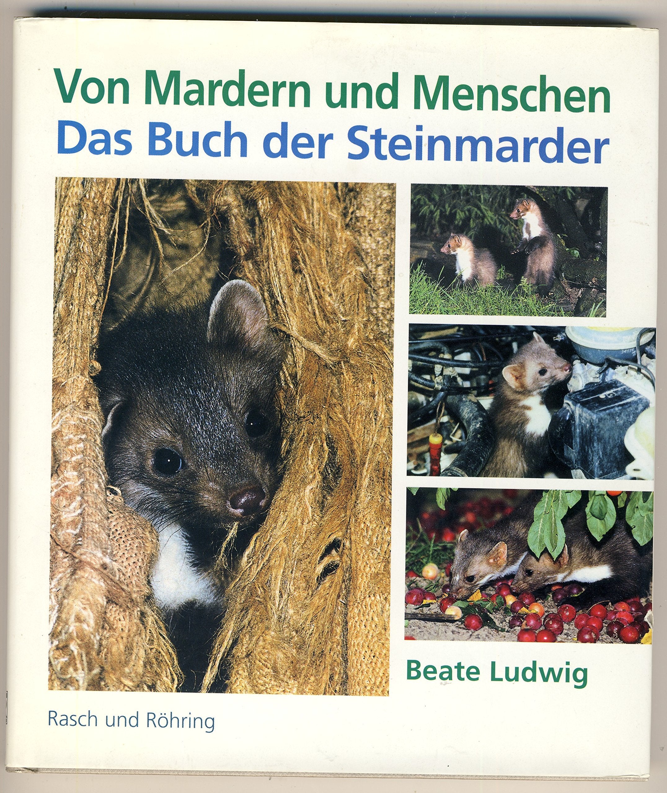 Product Image: Von Mardern und Menschen. Das Buch der Steinmarder