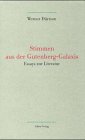 Stimmen aus der Gutenberg-Galaxis - Essays zur Literatur Fiction