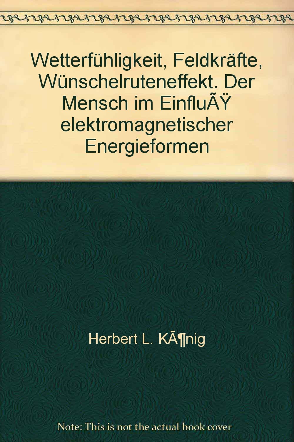 Wetterfühligkeit, Feldkräfte, Wünschelruteneffekt. Der Mensch im Einfluß elektromagnetischer Energieformen Business & Technology