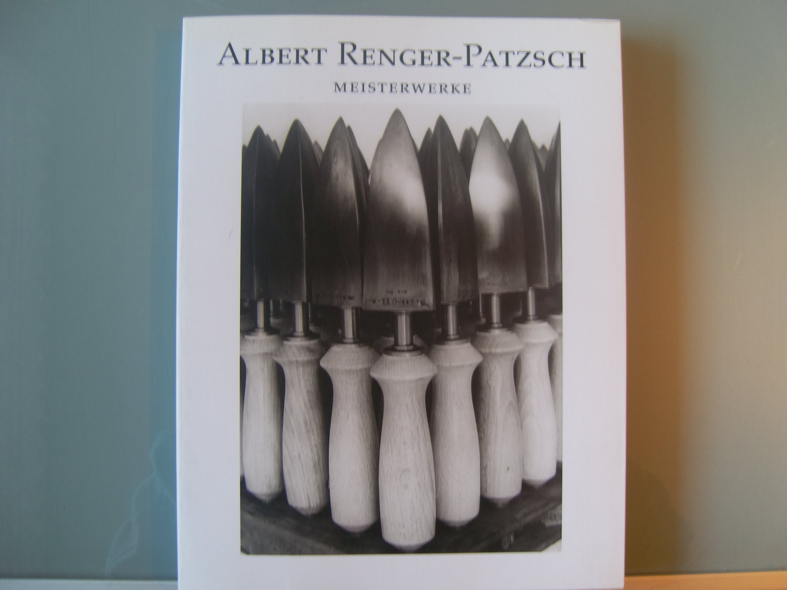 Albert Renger-Patzsch: Meisterwerke, mit einem Text von Thomas Janzen. Social Sciences