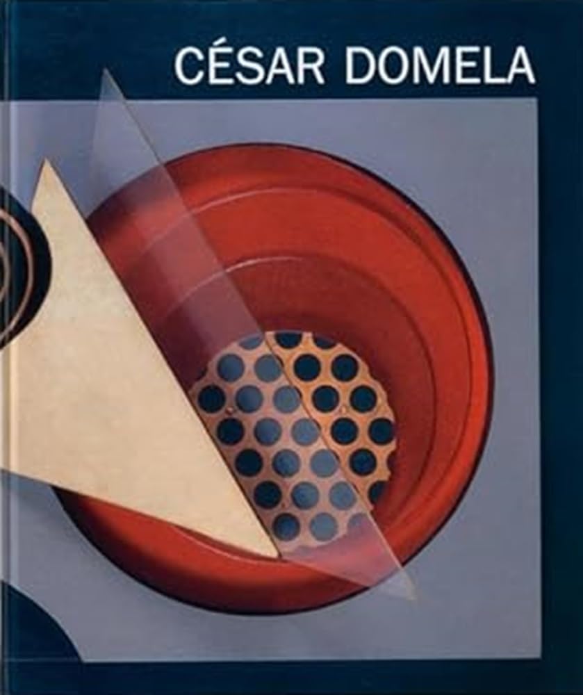 César Domela: Retrospektive anlässlich der Schenkung von Lie Tugayé-Domela Nieuwenhuis und Anne Dutter-Domela Nieuwenhuis Art & Literature Books