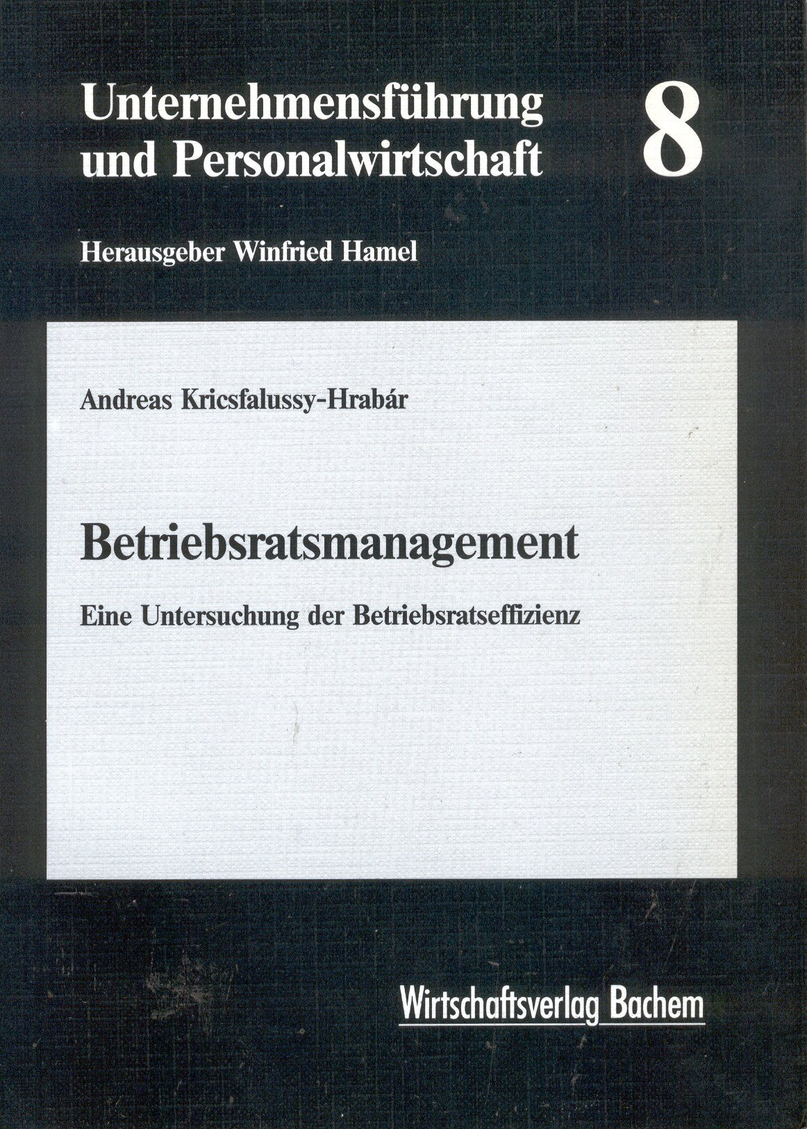 Betriebsratsmanagement. Eine Untersuchung der Betriebsratseffizienz Books