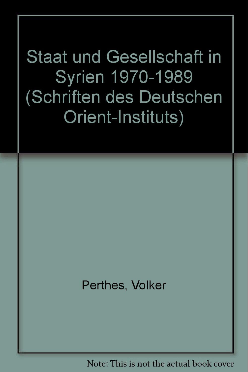 Staat und Gesellschaft in Syrien. 1970-1989 Politics & History