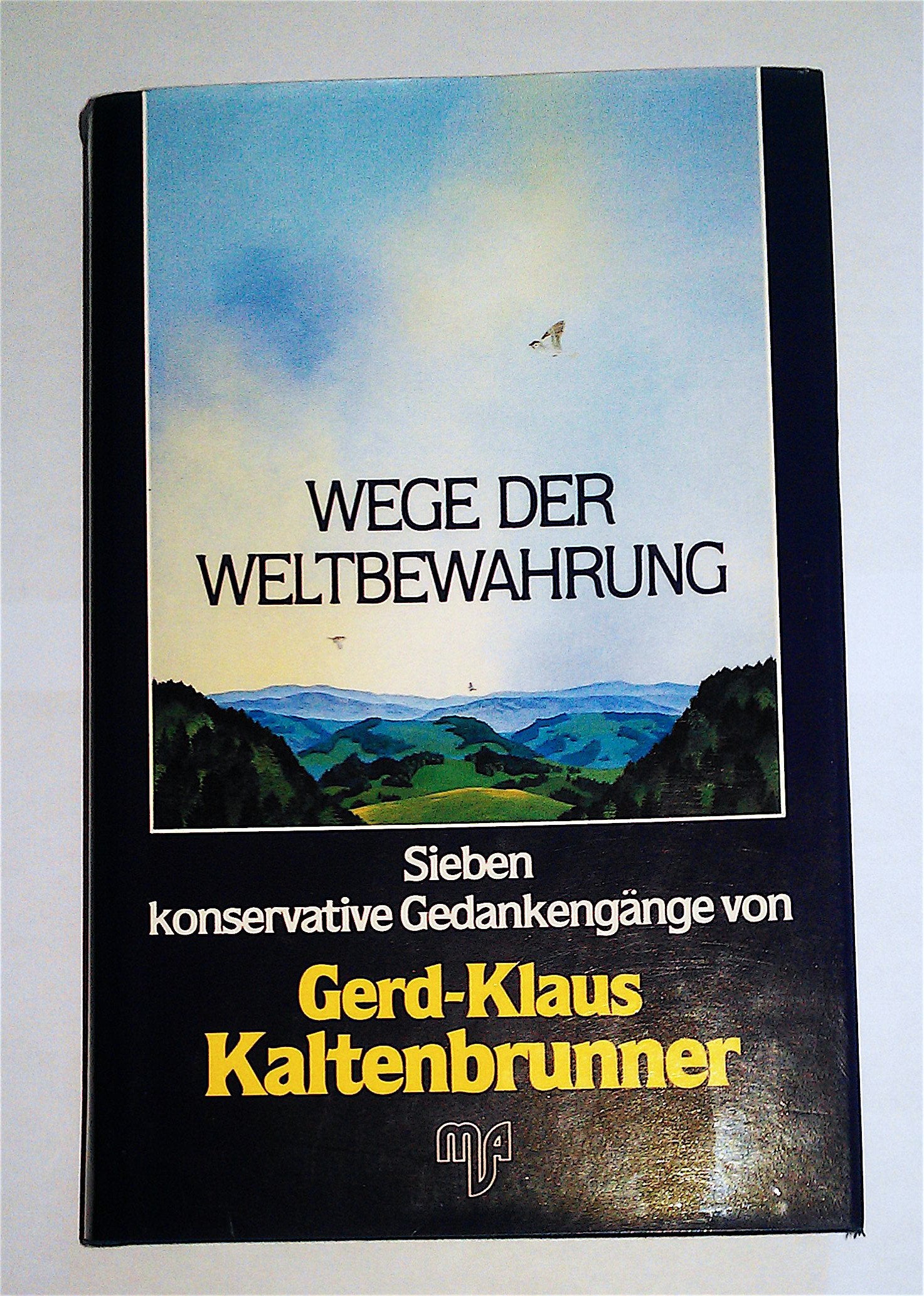 Wege der Weltbewahrung. Sieben konservative Gedankengänge Politics & History