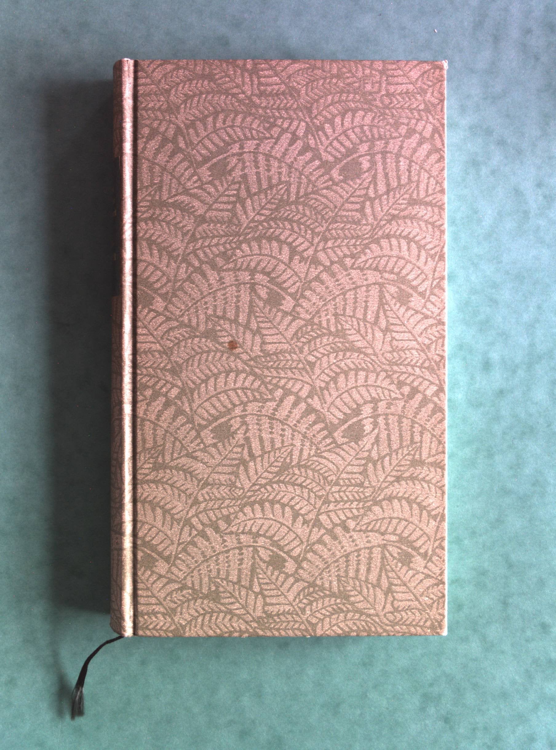 Blitzlichter - Portraits aus dem neunzehnten Jahrhundert (Greno / Die Andere Bibliothek) Books