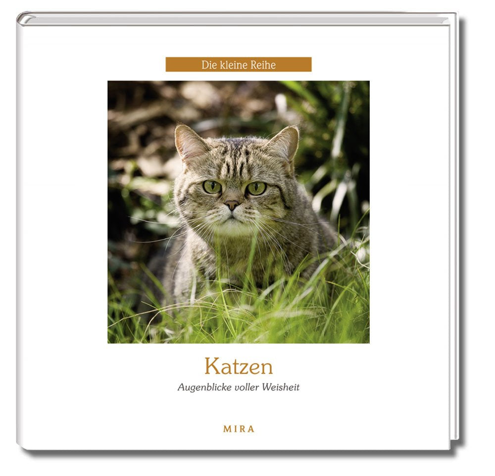 Katzen - Augenblicke voller Weisheit Books