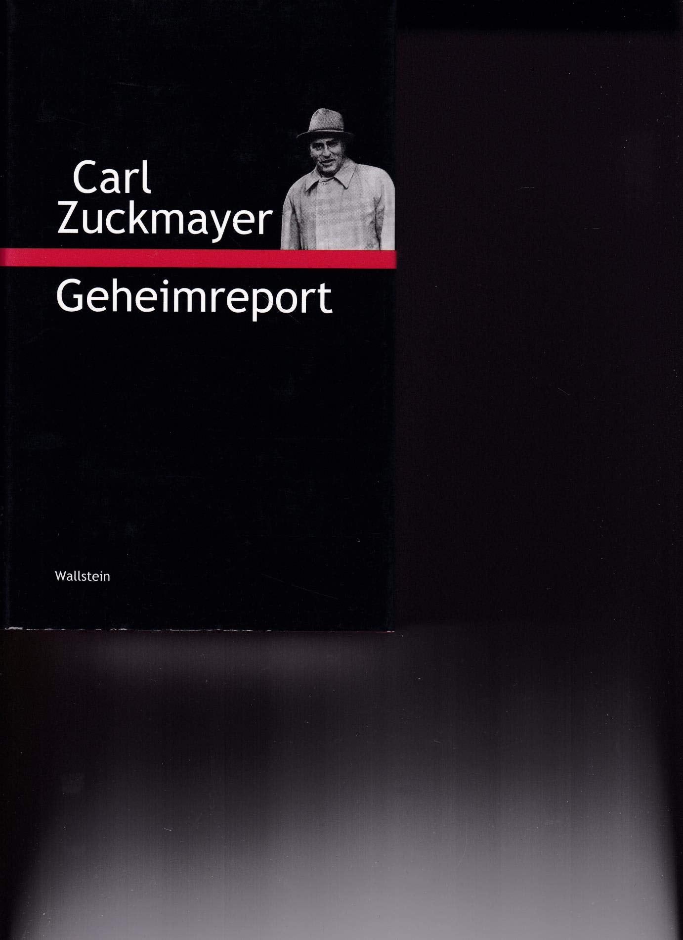 Geheimreport Contemporary literature